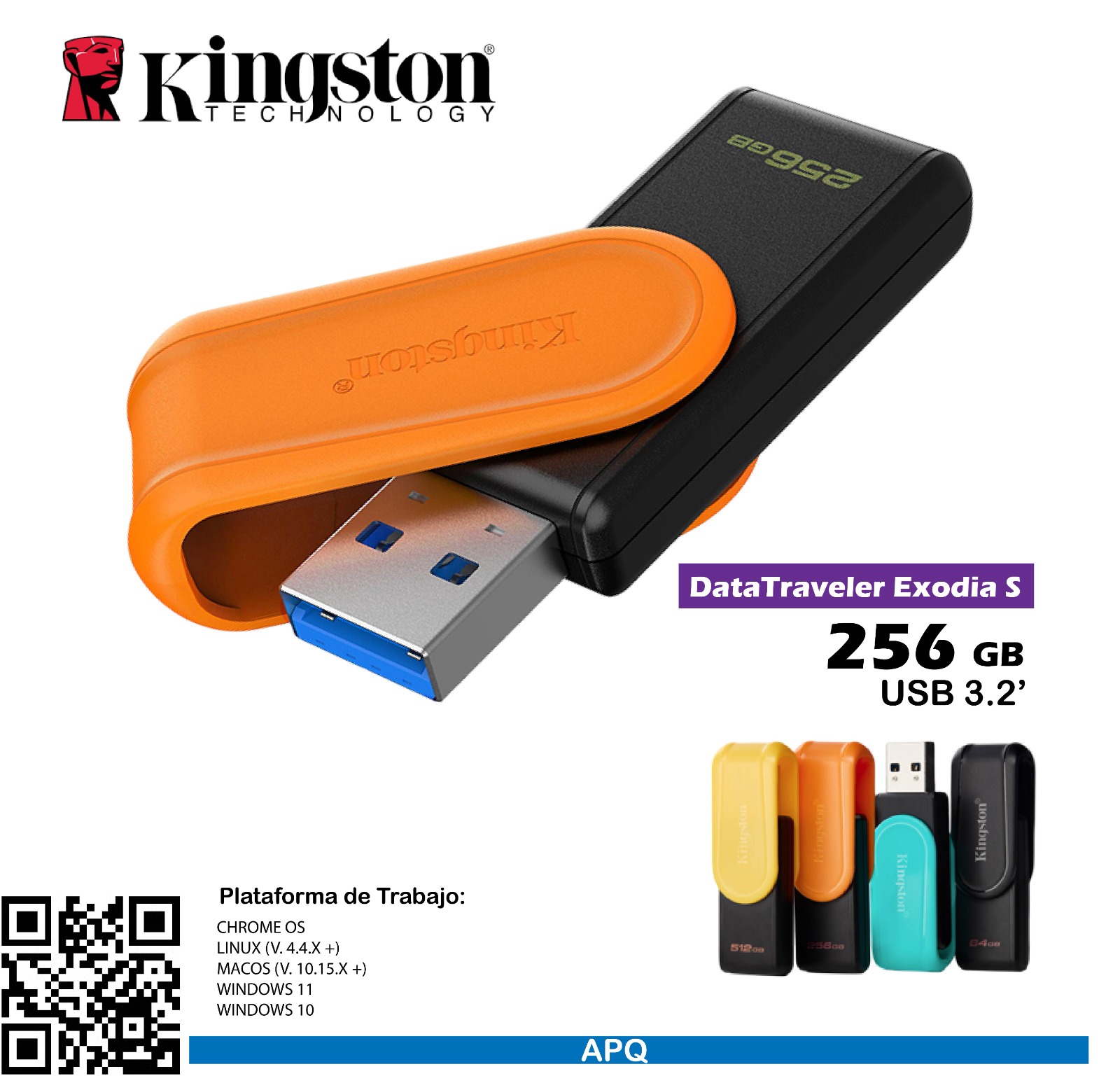 Memoria Usb Kingston DataTraveler Exodia´s 256gb